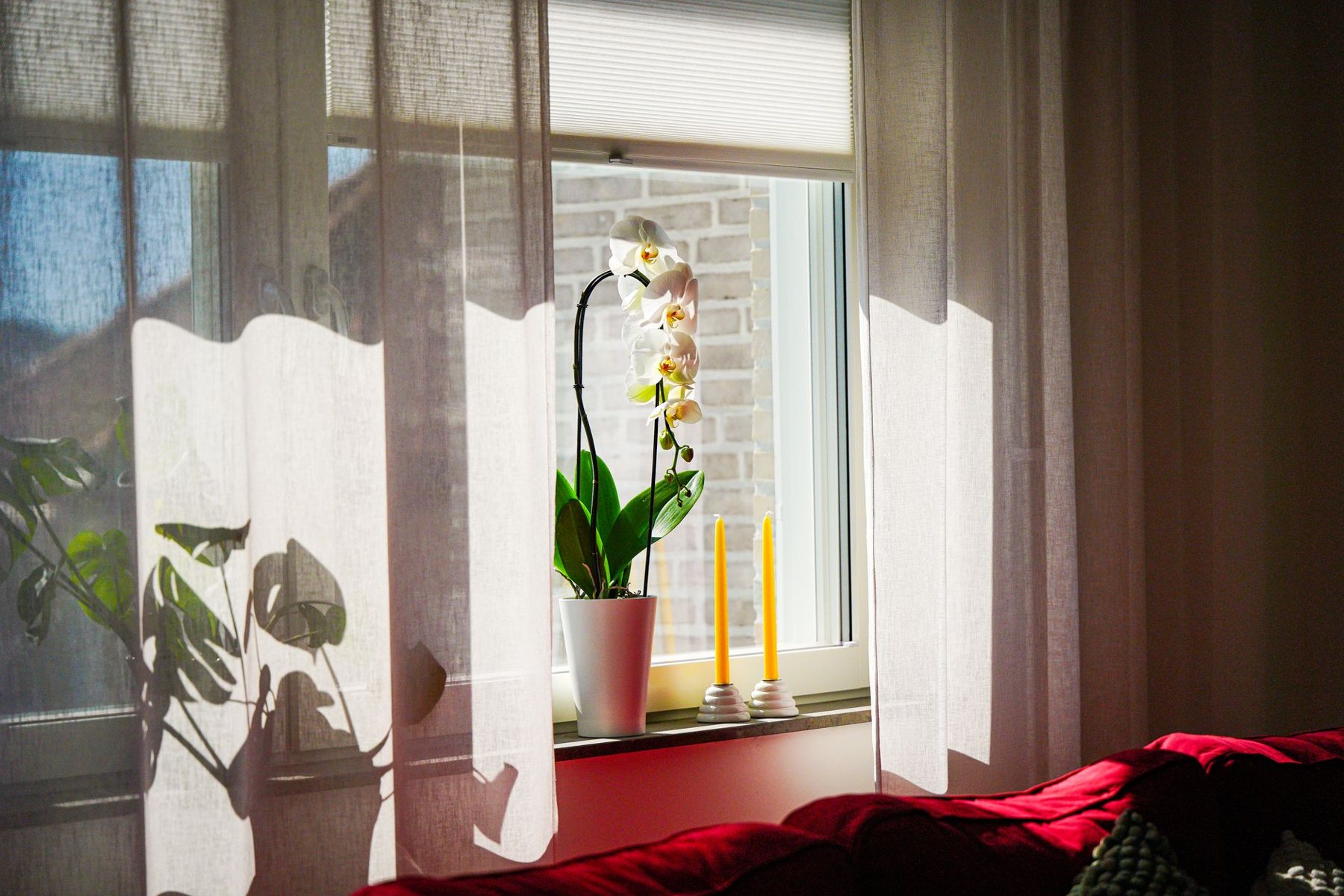 Allergen & Dust Reduction in Scottsdale AZ